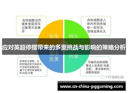 应对英超停摆带来的多重挑战与影响的策略分析