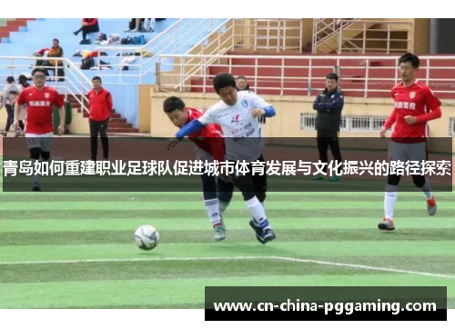 青岛如何重建职业足球队促进城市体育发展与文化振兴的路径探索