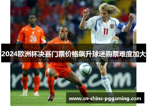2024欧洲杯决赛门票价格飙升球迷购票难度加大