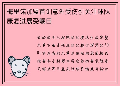 梅里诺加盟首训意外受伤引关注球队康复进展受瞩目
